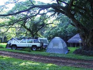 Chirinda Forrest Zimbabwe