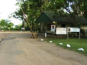 Mopani Bay camping