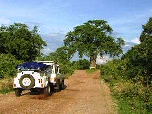 Makuti to Mana Pools